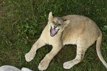 Similar image 21551035