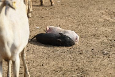 Similar image 21552030