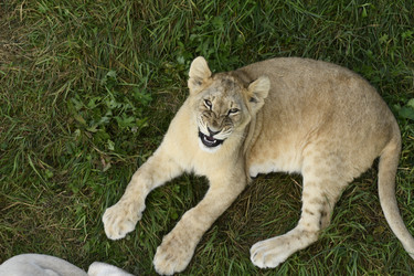 Similar image 21551036