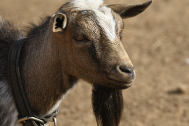 Similar image 21552031