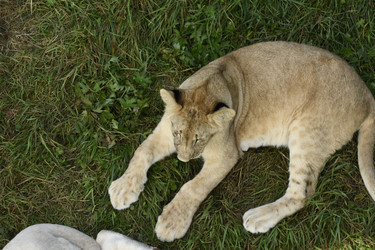 Similar image 21551038