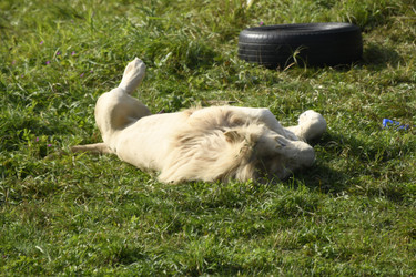 Similar image 21552033