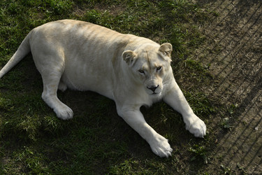 Similar image 21551040