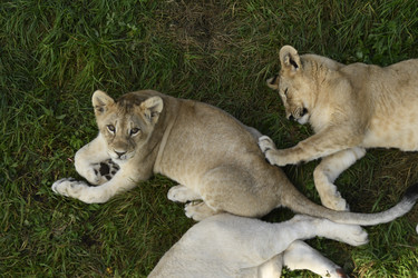 Similar image 21551041