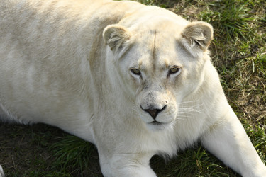 Similar image 21551044