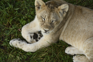 Similar image 21551045