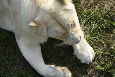 Similar image 21551046