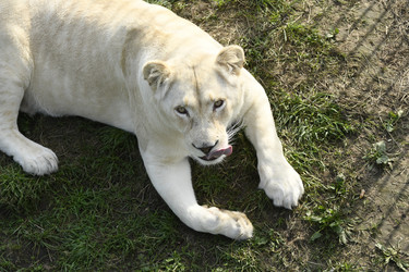 Similar image 21551047