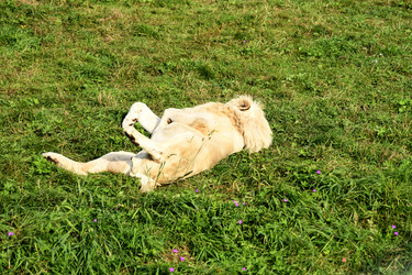 Similar image 21551048