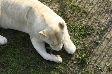 Similar image 21551049