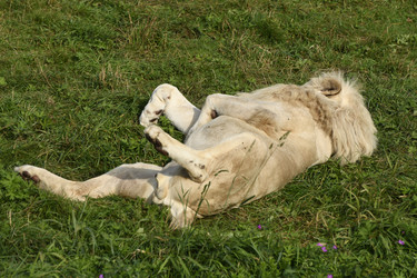 Similar image 21551051