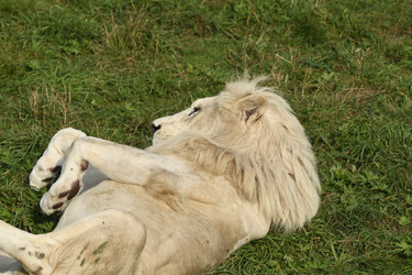 Similar image 21551052