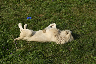 Similar image 21551054