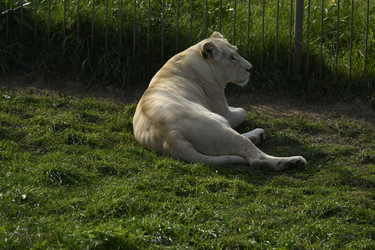 Similar image 21551055