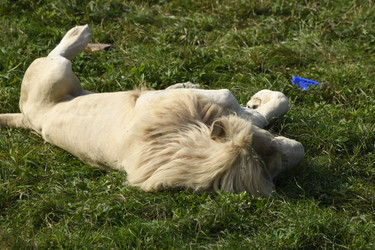 Similar image 21551056