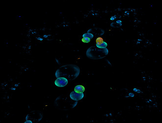 Similar image 21625054