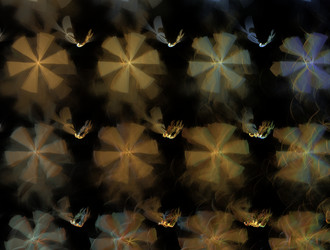 Similar image 21625256