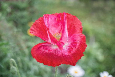 Similar image 21551084