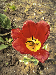 Similar image 21551086