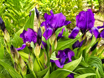 Similar image 21551087