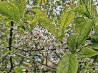 Similar image 21551090