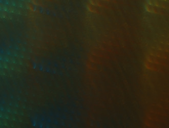 Similar image 21624079