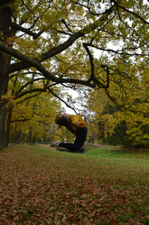 Similar image 21550790