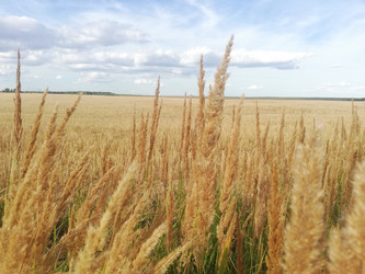 Similar image 21550102