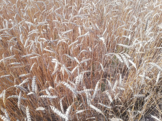 Similar image 21550103