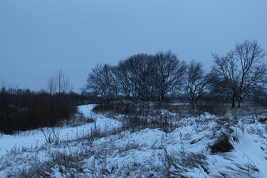 Similar image 21628634