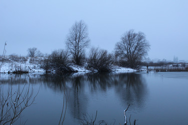 Similar image 21628636