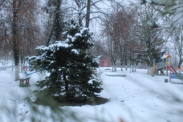 Similar image 21628638