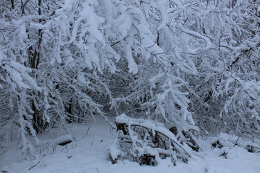 Similar image 21628639