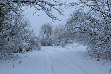 Similar image 21628640