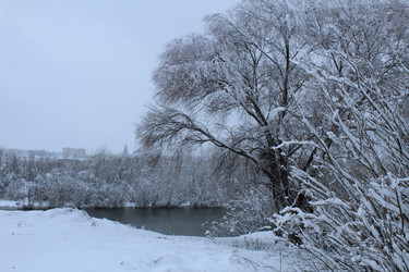 Similar image 21628641