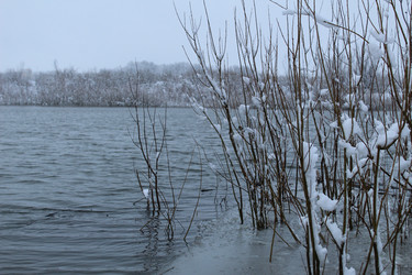 Similar image 21628642