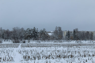 Similar image 21628645