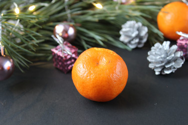 Similar image 21628658