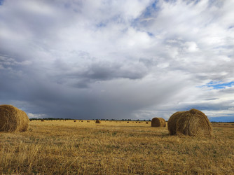 Similar image 21551096