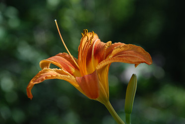 Similar image 21550578