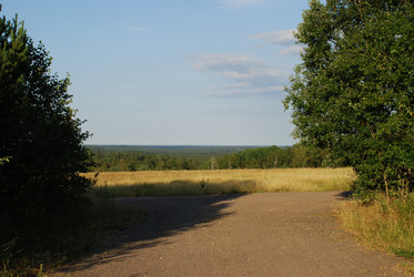 Similar image 21550579