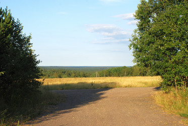 Similar image 21550581