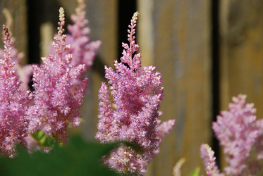 Similar image 21550582