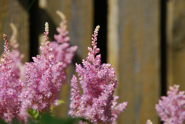 Similar image 21550584