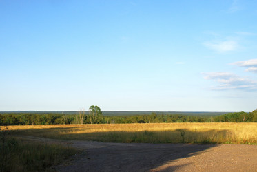 Similar image 21550585