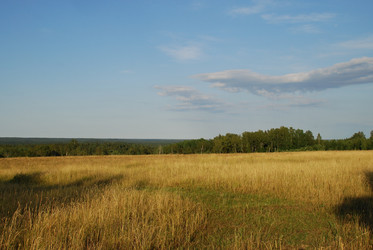 Similar image 21550587