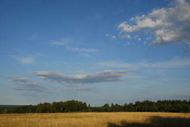 Similar image 21550589