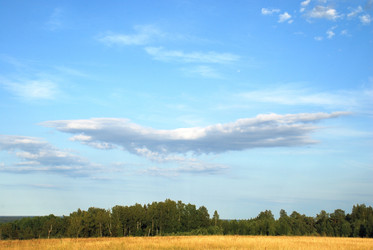 Similar image 21550591