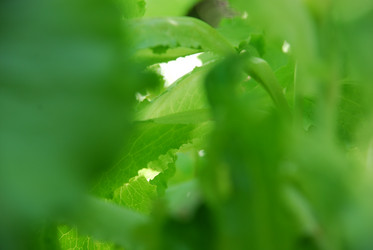 Similar image 21550594