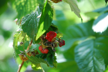 Similar image 21550598